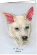 Custom Pet Anniversary of Death Memorial Carolina Dog Pastel Artwork card