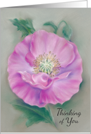 Thinking of You Floral Pink Poppy Pastel Art card