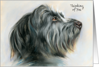 Custom Thinking of You Black and Gray Wolfhound Dog Pastel Art card