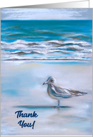 Thank You Seagull on the Sandy Sea Shore Pastel Art card