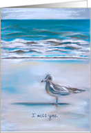 Custom Missing You Seagull on the Sandy Sea Shore Pastel Art card