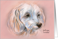 Custom Dog Adoption Announcement Pink Girl Maltipoo Small Dog card