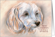 Custom Condolences for Loss of Pet Maltipoo Small White Dog Portrait card