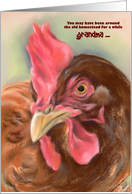 Custom Relative Grandma Birthday Red Hen Chicken Pastel Art card