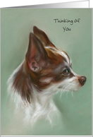 Custom Thinking of You Brown and White Chihuahua Art card