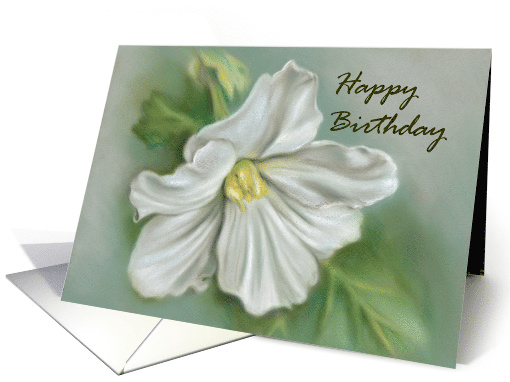 White Begonia Flower Pastel Art Happy Birthday card (1537072)