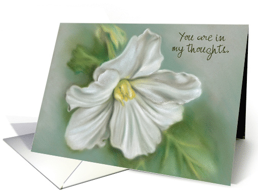 Custom Thinking of You White Begonia Flower Pastel Art card (1537078)