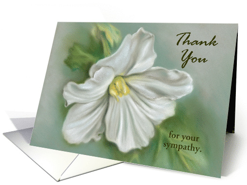 Custom Thank You for Sympathy White Begonia Flower Pastel Art card