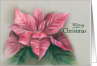 Merry Christmas Pink Poinsettia Pastel Art card