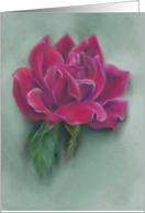 Red Rose in Full Bloom Pastel Art All Occasion Blank card