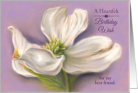 Custom Best Friend Birthday Wish White Dogwood Flower Pastel card