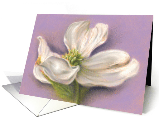 White Dogwood Flower Pastel Artwork All Occasion Blank card (1552580)