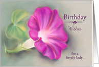 Custom Birthday Wishes for a Lady Magenta Morning Glory Pastel card