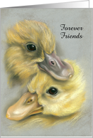 Custom Friends Forever Cute Duckling Pair Pastel Art card