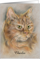 Personalized Name Sympathy for Loss of Cat Pastel Tabby Art card