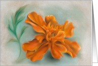 Orange Marigold Pastel Artwork All Occasion Blank card