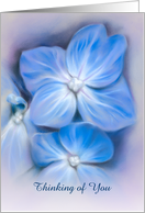 Custom Thinking of You Blue Hydrangea Pastel Floral Art card