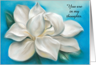 White Magnolia Pastel Art Custom Thinking of You card