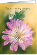 Custom Thinking of You Pink and White Chrysanthemum Pastel Floral card