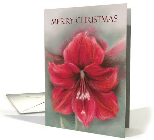Merry Christmas Red Amaryllis Pastel Flower Artwork card (1575822)