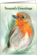 Seasons Greetings European Robin Redbreast Bird Pastel Art card