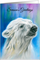 Seasons Greetings White Polar Bear Northern Lights Pastel card