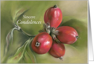 Autumn Dogwood Berries Pastel Art Condolences card