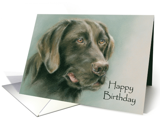 Chocolate Labrador Retriever Dog Portrait Happy Birthday card