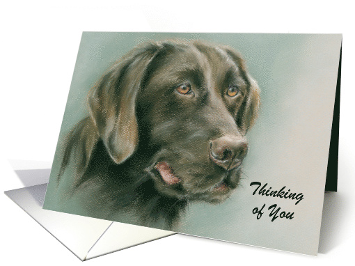 Chocolate Labrador Retriever Dog Portrait Custom Thinking of You card