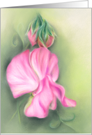 Pink Sweet Peas Floral Pastel Artwork Any Occasion Blank card