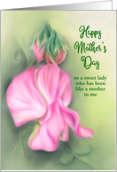 Pink Sweet Peas Floral Pastel Custom Mothers Day Like a Mother to Me card