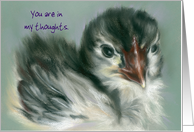 Fluffy Chick Pastel Artwork Custom Thinking of You card