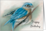 Happy Birthday Bluebird Pastel Bird Artwork card