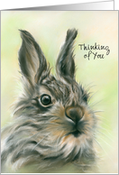 Custom Thinking of You Cute Fluffy Baby Hare Pastel Art card