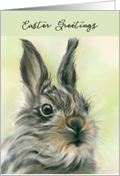 Easter Greetings Cute Fluffy Baby Hare Pastel Artwork card