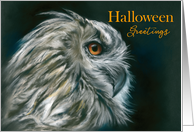 Halloween Greetings Owl Portrait in Profile Pastel Art card