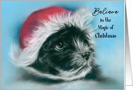 Believe in Christmas Magic Black Puppy Dog Santa Hat Pastel card
