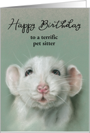 Custom Birthday for Pet Sitter Sweet White Rat Patel Pet Portrait card