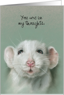 Custom Thinking of You Sweet White Rat Pastel Pet Portrait card