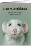 Custom Condolences for Loss of Pet Rat Pastel Animal Artwork card