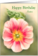 Personalized Birthday Relative Sister Pink and Red Primrose with Leaf card