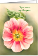 Custom Thinking of You Pink and Red Primrose with Leaf Pastel Art card