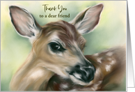 Custom Thank You Friend Fawn Young Deer Pastel Wildlife Art card