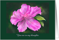 Custom Thinking of You Vivid Pink Azalea Flower Pastel Art card