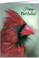 Happy Birthday Red Male Cardinal Songbird Portrait Pastel Art card