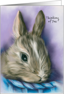 Custom Thinking of You Fluffy Brown Bunny in a Blue Basket Pastel card