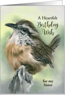 Custom Birthday for Relative Sister Perky Carolina Wren Bird Pastel card