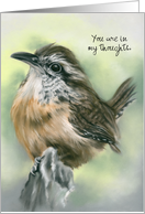 Custom Thinking of You Perky Carolina Wren Bird Pastel Art card