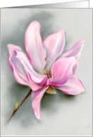 Any Occasion Pink Magnolia Flower Pastel Art Blank card