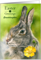 Custom Relative Easter Granddaughter Bunny Rabbit Buttercup Art card